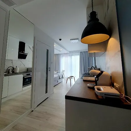 Baltic Soul 公寓 米兹多洛杰